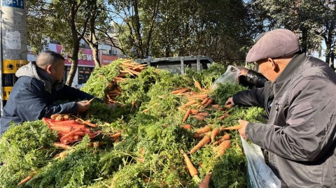 在宿迁搞钱，别单打独斗了！找个“AI代理”比请个团队都管用