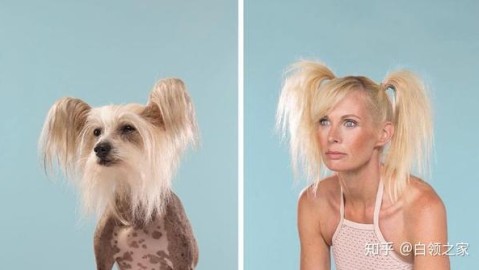 再也不怕“人模狗样”了！我花了半个月薪换来的AI画图代理避坑指南，全是真心话