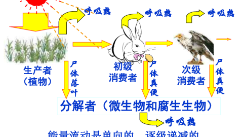 杏鑫代理的翻身仗：我用鱼刺AI系统-4把烂摊子整成了印钞机