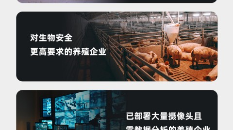 被“AI云盒代理”坑惨了？扒一扒这里头的安全门道，句句大实话！